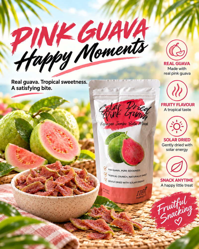 [ITHDFPG] Solar Dried Pink Guava